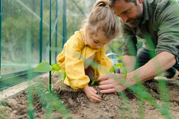 Father learning his little daughter to care about organic plants in eco greenhouse, sustainable...