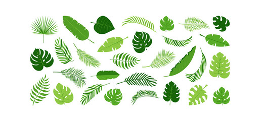 Palm leaf vector icon, green plant tree, exotic foliage set, tropical jungle isolated on white background. Nature summer illustration