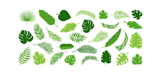 Palm leaf vector icon, green plant tree, exotic foliage set, tropical jungle isolated on white background. Nature summer illustration © Sylfida