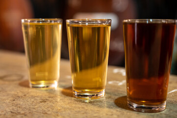 Tasting of different sweet wines from wooden barrels on old bodega in central part of Malaga, Andalusia, Spain