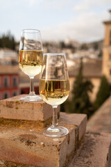 Tasting of sweet and dry fortified Vino de Jerez sherry wine with view on roofs and houses of old andalusian town