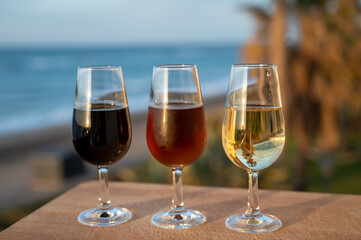 Tasting of Spanish sweet and dry fortified Vino de Jerez sherry wine and green olives with view on blue sea near El Puerto de Santa Maria, Andalusia, Spain