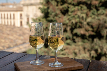 Tasting of Spanish sweet and dry fortified Vino de Jerez sherry wine with view on roofs and houses of old andalusian town