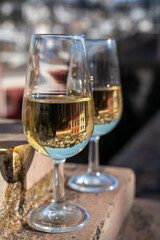 Tasting of sweet and dry fortified Vino de Jerez sherry wine with view on roofs and houses of old andalusian town