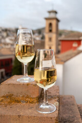 Tasting of sweet and dry fortified Vino de Jerez sherry wine with view on roofs and houses of old andalusian town