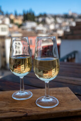 Tasting of sweet and dry fortified Vino de Jerez sherry wine with view on roofs and houses of old andalusian town