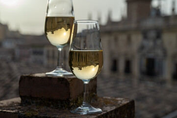 Tasting of sweet and dry fortified Vino de Jerez sherry wine with view on roofs and houses of old andalusian town