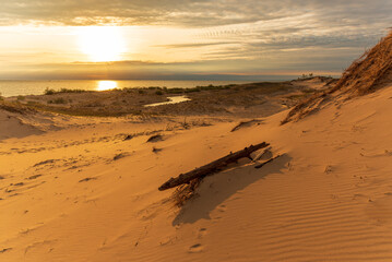 Driftwood on a sand dune as the sunset over Lake Michigan