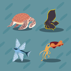 four flat marine animals