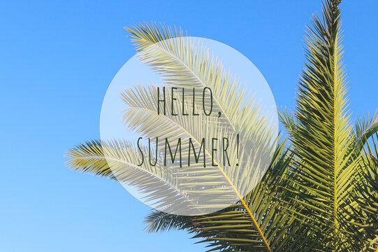 Summer postcard. Lettering HELLO SUMMER in a circle frame against the background of palm leaves and blue sky