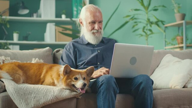 Happy Hoary Man is Relaxing on a Sofa at Home with Pet Dog, The Dog Owner is Petting the Dog While Working from Home Office. Elderly Generation People and Modern Technology Concept.Pets Lover Concept.