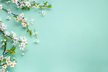 Spring blooming branches on pastel blue background