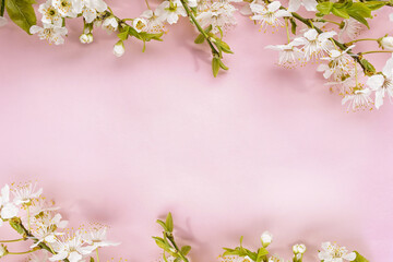 Spring blooming branches on pink background