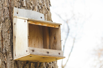 Bird feeders. Feeding birds in the forest. Birdhouse on a tree.