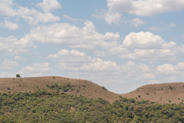 Rural landscape pampa biome in southern Brazil