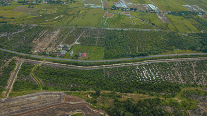 Aerial drone view of paddy plantations land scenery in Kuala Rompin, Pahang, Malaysia