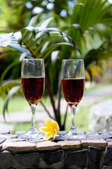 two glasses with red wine in the tropics garden