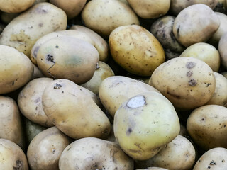 A bunch of raw potatoes. For background purpose.