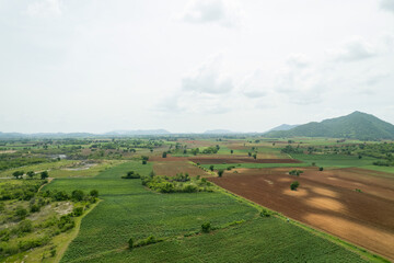 Fototapeta na wymiar field background, top view landscape, nature