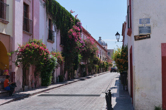 Calles del Centro Hist&oacute;rico de Quer&eacute;taro calle Ocampo de d&iacute;a con flores y buganvilias.