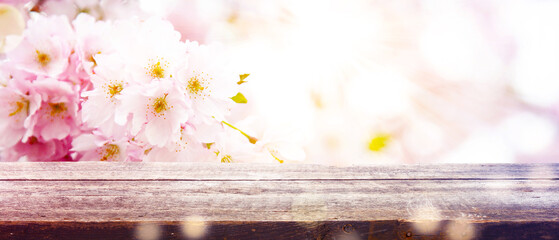 Naklejka na ściany i meble Beautiful branch of blossoming tree in spring.