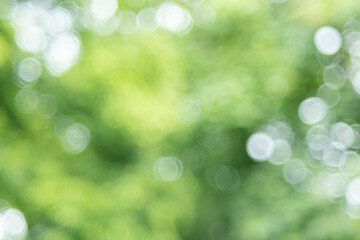 Fototapeta premium Green bokeh abstract background.