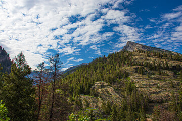 Beautiful Rocky Mountain forest with blue skies and white clouds
