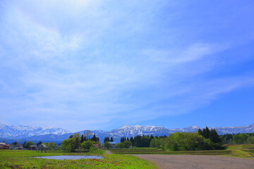 Fototapeta premium 残雪