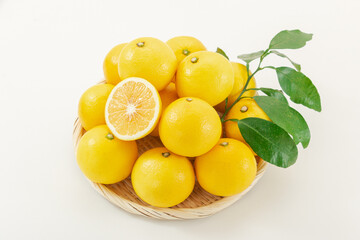 日向夏　　new summer orange, hyuga-natsu, fruit, citrus