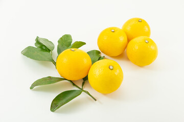 日向夏　 new summer orange, hyuga-natsu