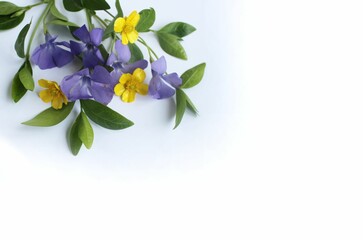 Spring bouquet. Lilac and yellow flowers on a white background. Background for a greeting card.