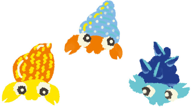 ヤドカリ Images Browse 857 Stock Photos Vectors And Video Adobe Stock