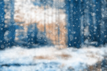  blurred winter forest