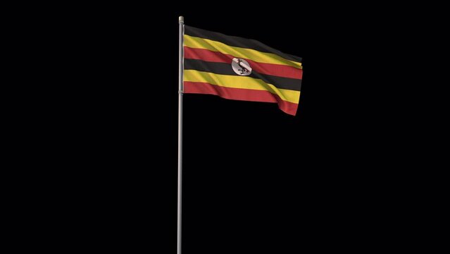 Uganda flag, 4k video background is transparent