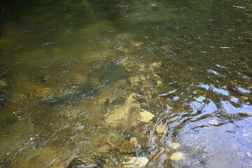 river surface texture