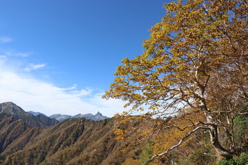 大天井、燕岳、夕日、百名山、長野、表銀座ルート、槍ヶ岳、東鎌尾根、朝日、燕岳、合戦小屋