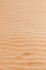 Fototapeta na wymiar beautiful desert landscape of reddish sand