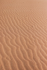 beautiful desert landscape of reddish sand