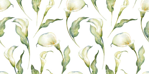 Watercolor hand drawn floral seamless pattern with delicate illustration of blossom white calla lily flowers, leaf. Elegant romantic elements isolated on white background. Beautiful summer wallpaper.