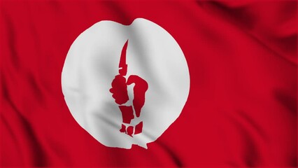 Bangladesh's Flag of Mukti Bahini (Liberation Forces) during the Liberation War (1971) is waving. Old flag in red background with a white disk, and a hand holding a rifle- bayonet in the middle.