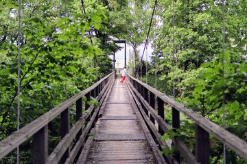 wooden bridge in the forest
