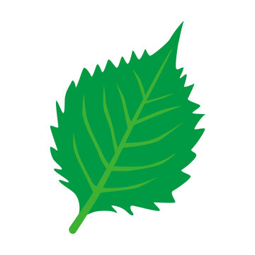 紫蘇の葉 の画像 6 499 件の Stock 写真 ベクターおよびビデオ Adobe Stock 紫蘇の葉 の画像 6 499 件の Stock 写真 ベクターおよびビデオ Adobe Stock