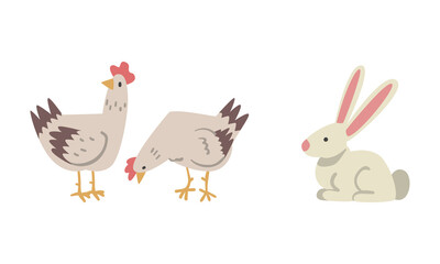 Hen or Chicken Bird and White Rabbit as Farm Animal Vector Set