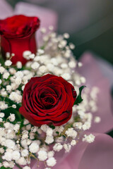 red roses and green leaf with white small flower