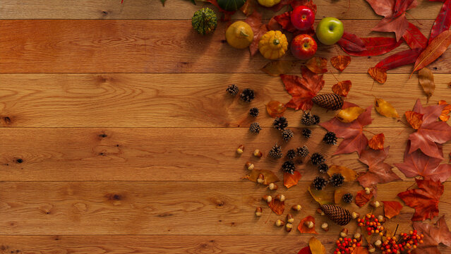 Thanksgiving frame with Gourds, Pine cones, Autumns leaves and Berries.