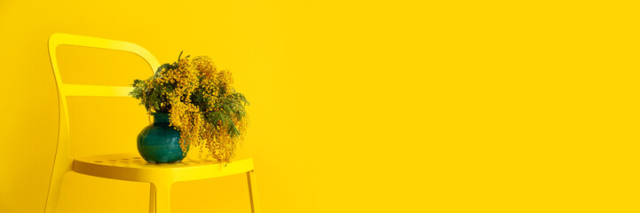 Vase with mimosa flowers on chair near yellow wall with space for text