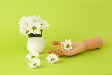 Pot with chrysanthemum flowers and wooden hand on green background