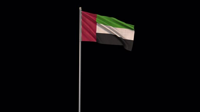 United Arab Emirates flag, 4k video background is transparent