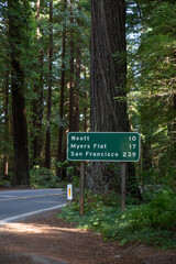 Fototapeta premium Sign on the Avenue of the Giants