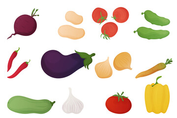 Seasonal ripe vegetables set. Healthy food. Delicious fresh.